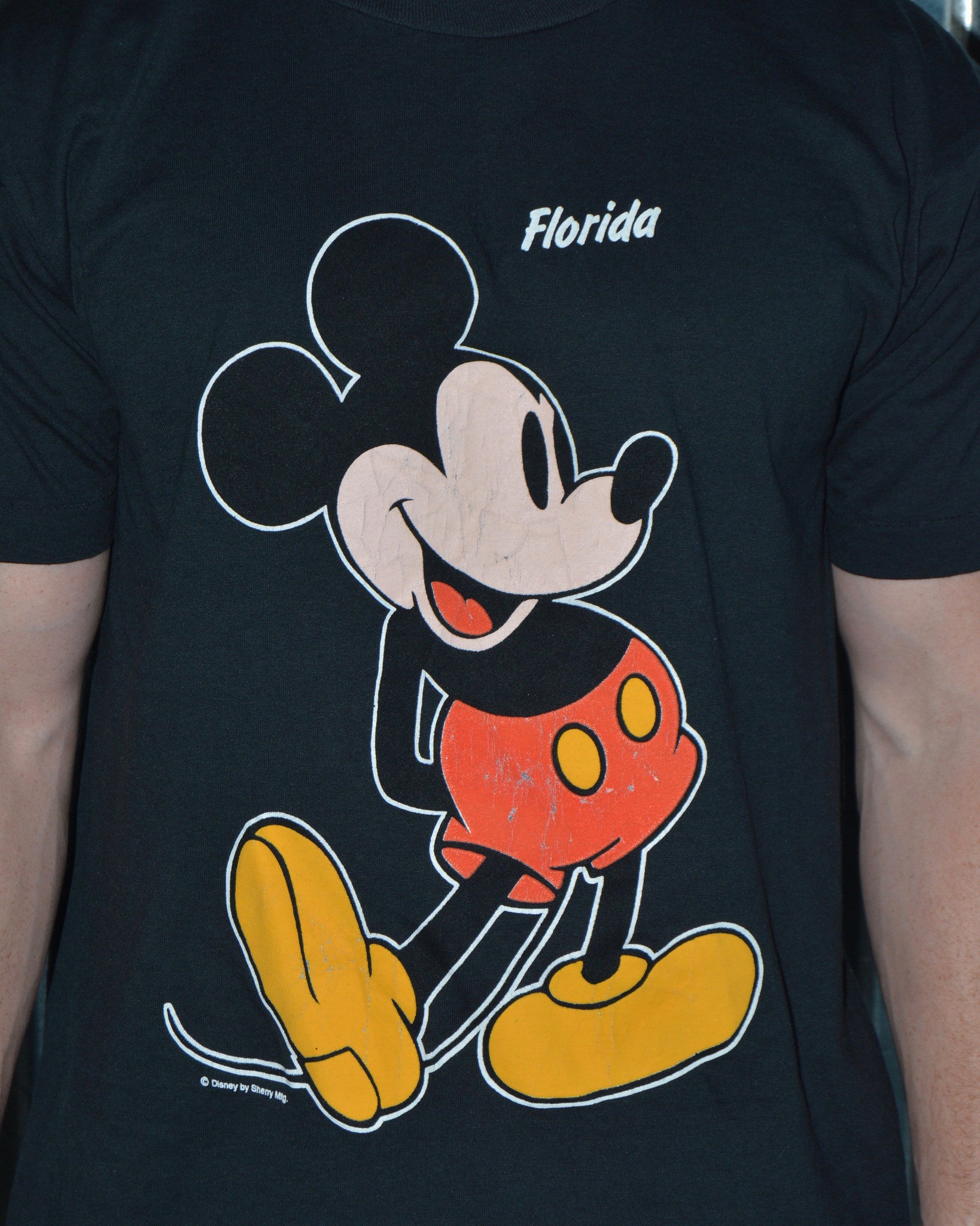 Tommy Hilfiger Florida T-shirt